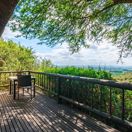 Hitgeheim Country Lodge Addo Ngoại thất bức ảnh