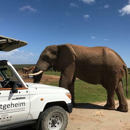 Hitgeheim Country Lodge Addo Ngoại thất bức ảnh